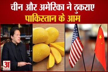 China और America ने ठुकराई Pakistan की Mango Diplomacy, Covid Quarantine Rules का दिया हवाला