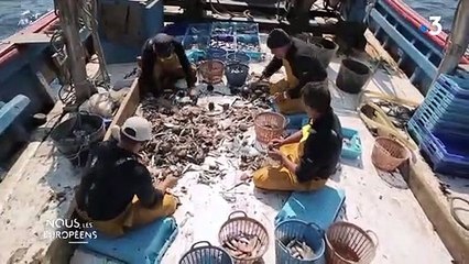 Espagne : des pêcheurs ramassent les déchets en plastique qui mettraient des siècles à disparaître sans leur action collective