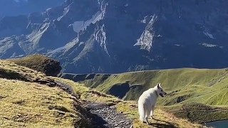 The Sea of Switzerland and Beauty of the land