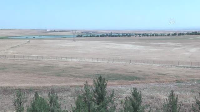 DİYARBAKIR - Dicle TEKNOKENT'te yapay zeka destekli dijital tarım uygulaması hazırlandı