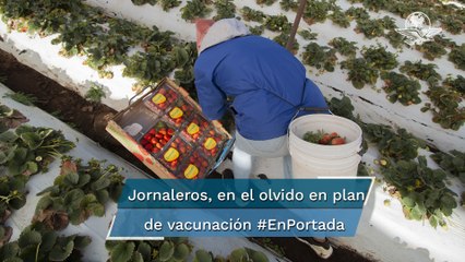 Aún sin vacuna, al menos 200 mil jornaleros agrícolas #EnPortada