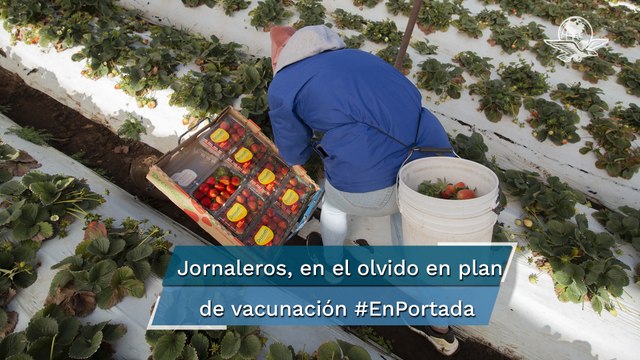 Aún sin vacuna, al menos 200 mil jornaleros agrícolas #EnPortada
