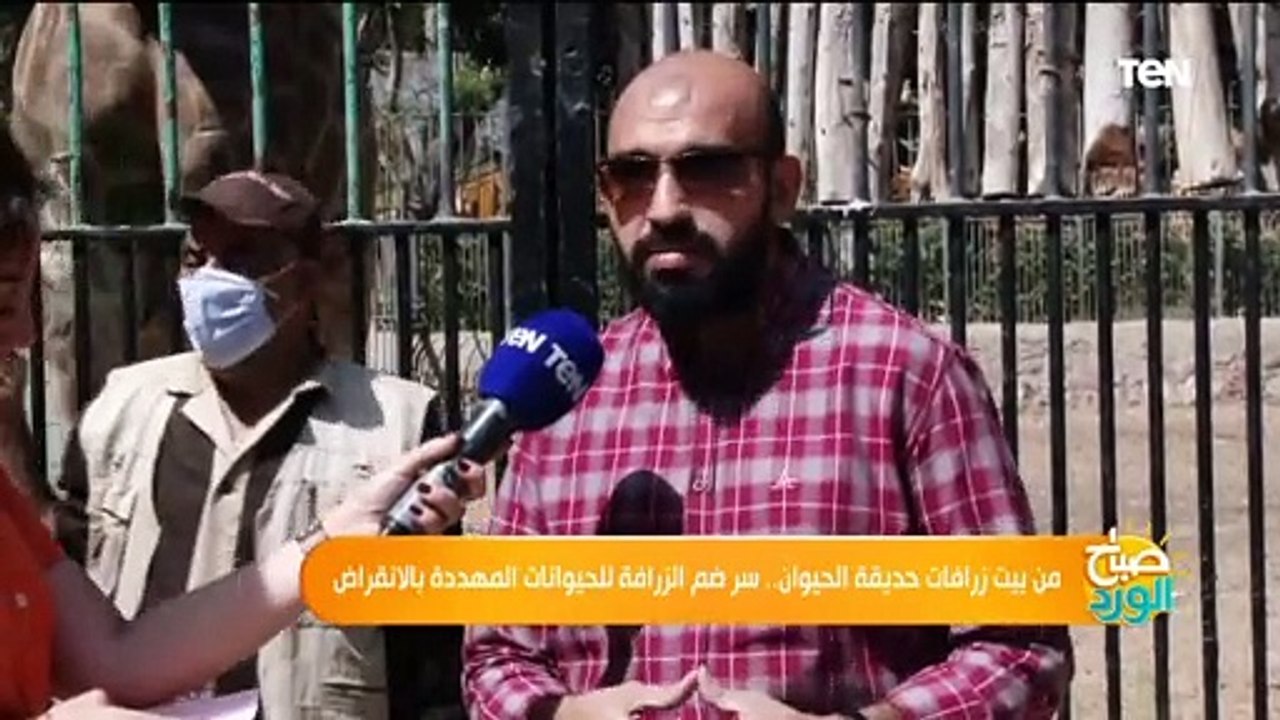 من بيت زرافات حديقة الحيوان.. سر ضم الزرافة للحيوانات المهددة بالانقراض