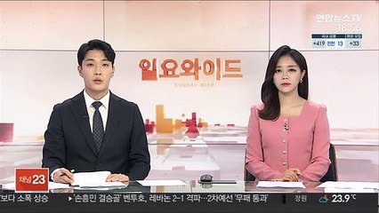 전현희, 국민의힘 부동산 전수조사 '직무회피' 안할듯