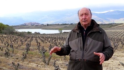 Un humedal entre viñas viejas