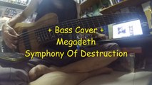   Bass Cover   Megadeth - Symphony Of Destruction
