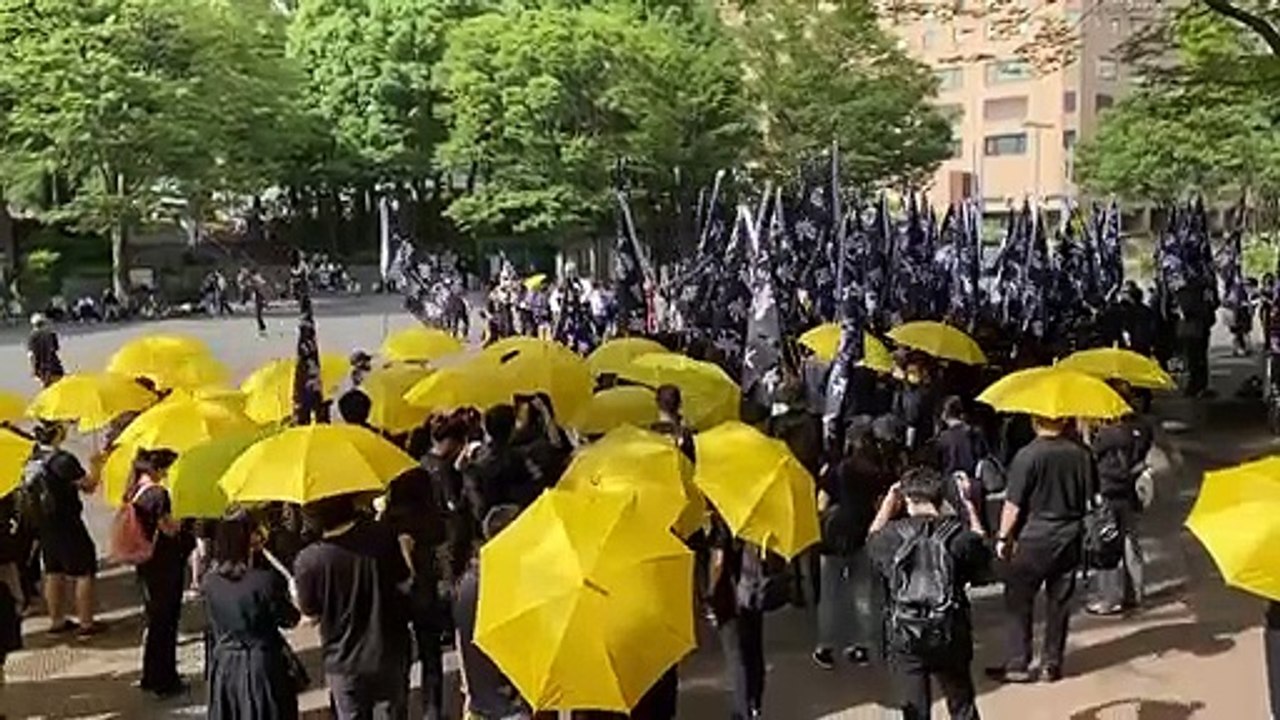 Manifestation à Tokyo pour le 2e anniversaire du mouvement pro-démocratie de Hong Kong