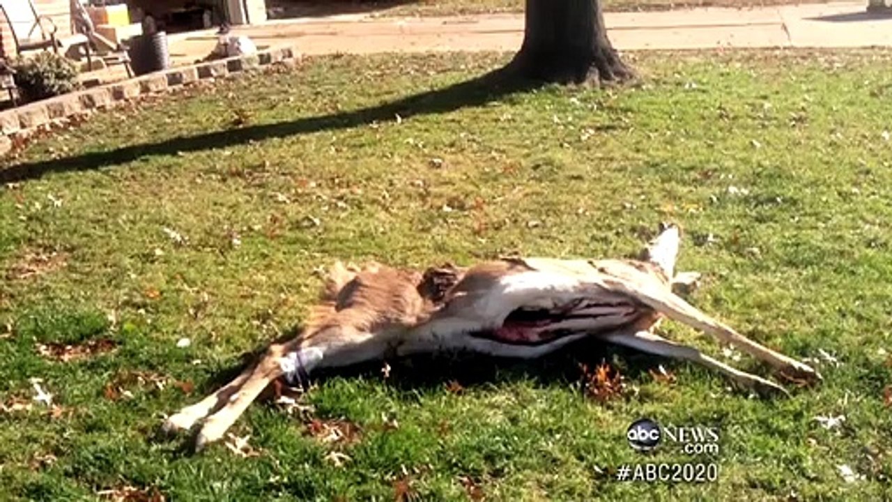 Neighbors From Hell | 20/20 | Abc News