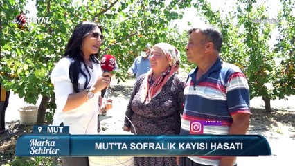 Marka Şehirler 13 Haziran 2021