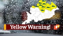 Heavy Rainfall Likely In Odisha, IMD Issues Yellow Warning For Next 24 Hours