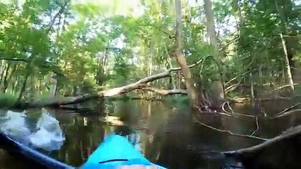 Alligator Charging Kayak 7 12 20