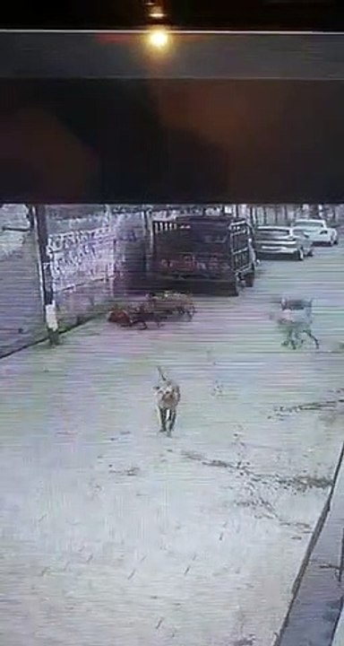 Bachcho Ko Akela Na Chhodein
