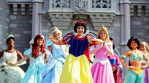 Trabajadores de Disney World Cuentan cosas que sus Visitantes esperan Nunca Saber
