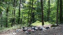 Piknikçiler ormanı yine çöplüğe çevirdi