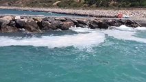 İskenderun kıyılarında beyaz tabaka endişelendirdi
