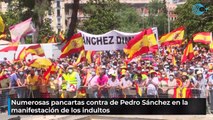 Numerosas pancartas contra Pedro Sánchez en la manifestación de los indultos