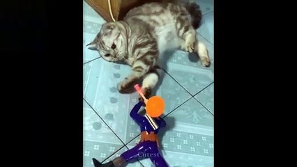 WATCH  and TRY TO STOP LAUGHING - FUN COMPILATION... #Part2