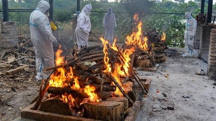 NYT claims India's Covid deaths 5 times higher