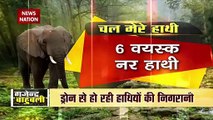A herd of 15 elephants has traveled almost 500 km in the last 15 month