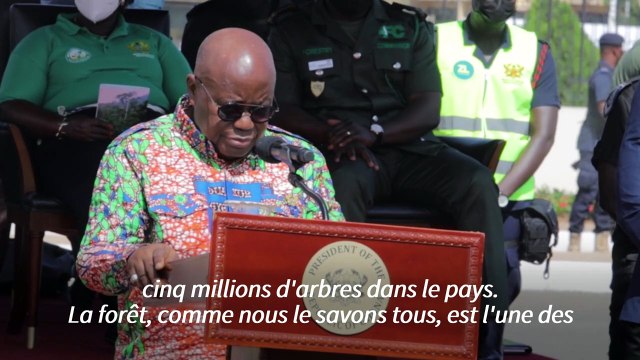 Le Ghana plante près de 5 millions d'arbres pour lutter contre le déboisement