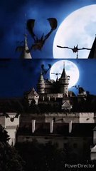 10 Fascinating Facts About the Harry Potter Movies ✨