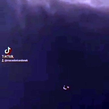 Makedonski dunek, macedonian donek, pacali donek, pigeon, pet, animal, guvercin