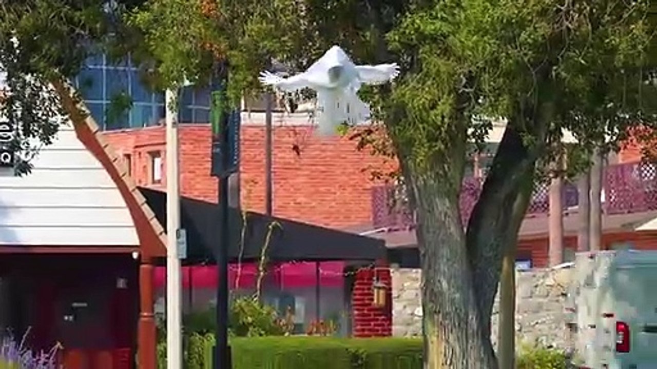 Flying Ghost Prank!
