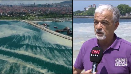 "5 yılda salya sorunu bitebilir"