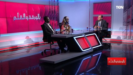 رئيس المنظمات غير الحكومية الكبرى في أفريقيا: أهداف التنمية المستدامة هي المحرك لسياسات العالم الآن