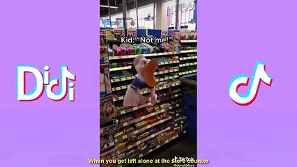 Best @Donaldducc  Tiktoks Of 2021 | Funny Donald Duck Tik Tok Videos Compilation