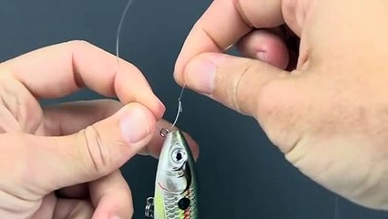 How To Tie A Non-Slip Loop Knot (Quick, Easy, & Strong Fishing Knot)