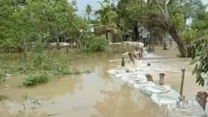 El 70 % de Puerto Venecia, Bolívar, está inundado por el desbordamiento del río Cauca