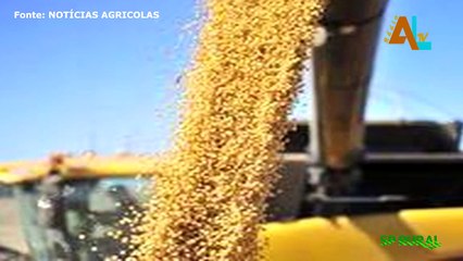 NOTÍCIAS DO NOSSO CAMPO DE 13/06/2021-SP RURAL | ALTV