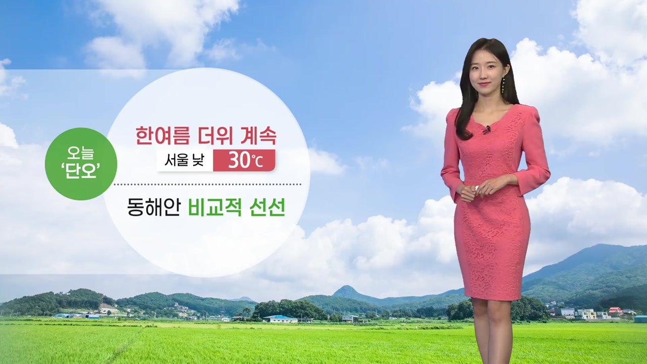 [날씨] 오늘 '단오' 한여름 더위 계속...곳곳 소나기 / YTN