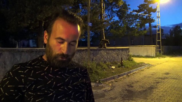 KARS - Sarıkamış'ta çöp konteynerinde yiyecek arayan bozayı yavrusu görüntülendi