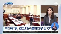 추미애 “윤석열 인기는 ‘바람 든 풍선’과 같아”