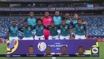 All Goals & highlights - Colombia 1-0 Ecuador - COPA AMERICA 14.06.2021 ᴴᴰ
