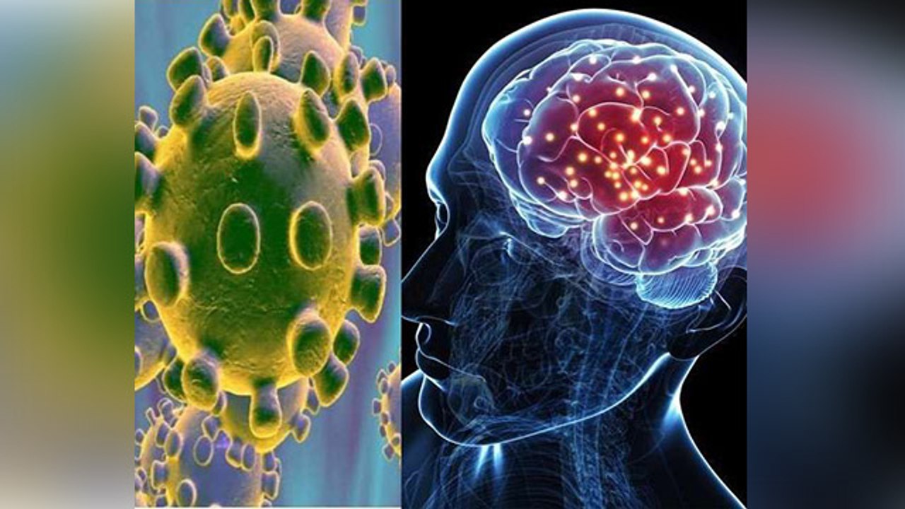 क्या Brain पर भी असर डालता है Corona Virus ? | Boldsky