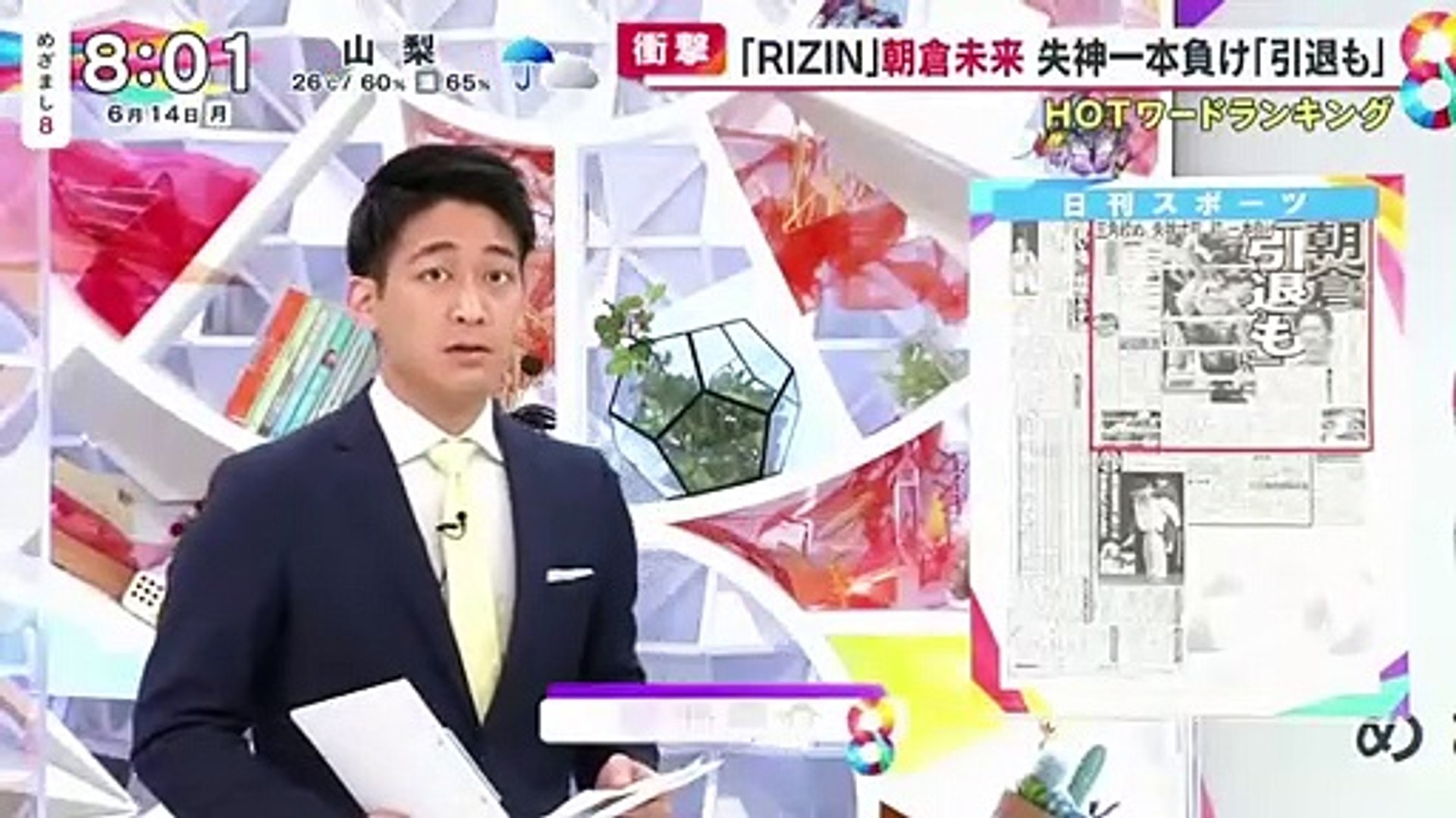 ｙｏｕｔｕｂｅｒ 朝倉未来 シバターに対して完全にビビってしまう ミニウサギはじめました 芸能ネタ アニメネタetcまとめて見ました