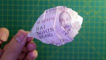 Demo dollar origami leaf - origami money vietnam