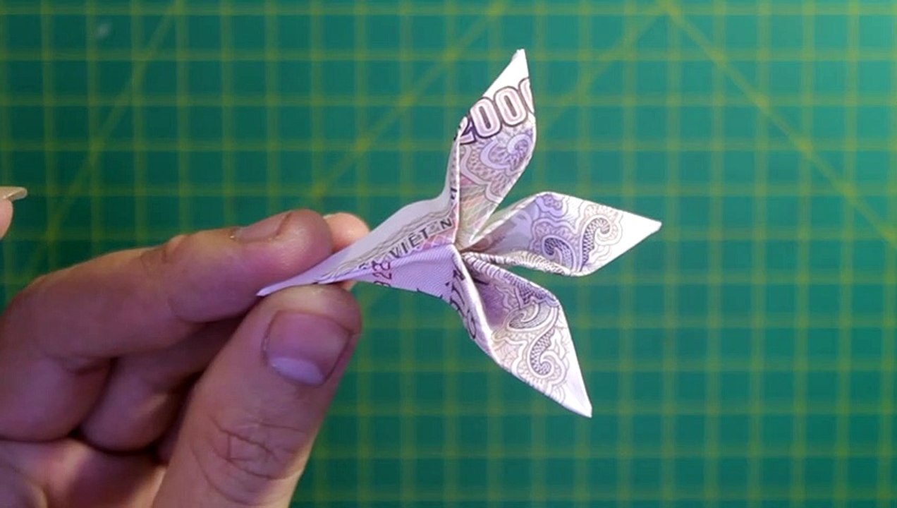 Demo dollar leaf - origami money vietnam