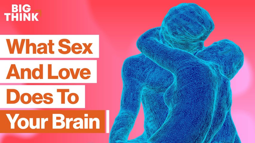 The science of sex, love, attraction, and obsession