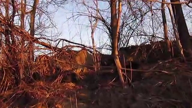 Carl's Not Jewish by Caalamus from Agoraphobic Futon Sessions