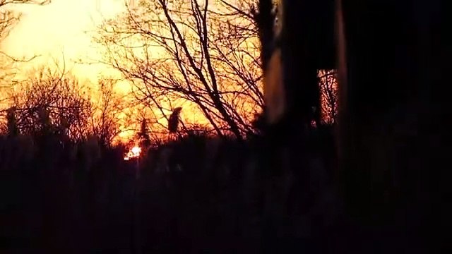 Speedy Delivery by Caalamus from Agoraphobic Futon Sessions