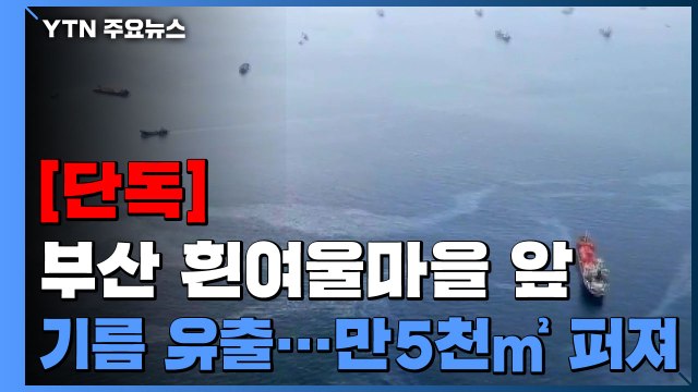[단독] 부산 흰여울마을 앞 기름 유출...송도해수욕장 방향 확산 / YTN