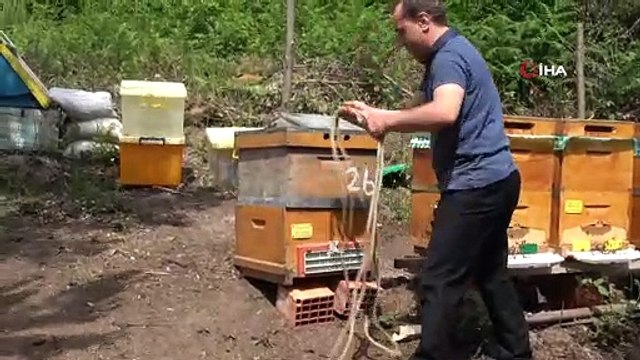 Petekler Anzer Yaylası yolunda