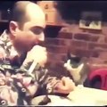 İşitme engelli sahibinden işaret diliyle yemek isteyen kedi