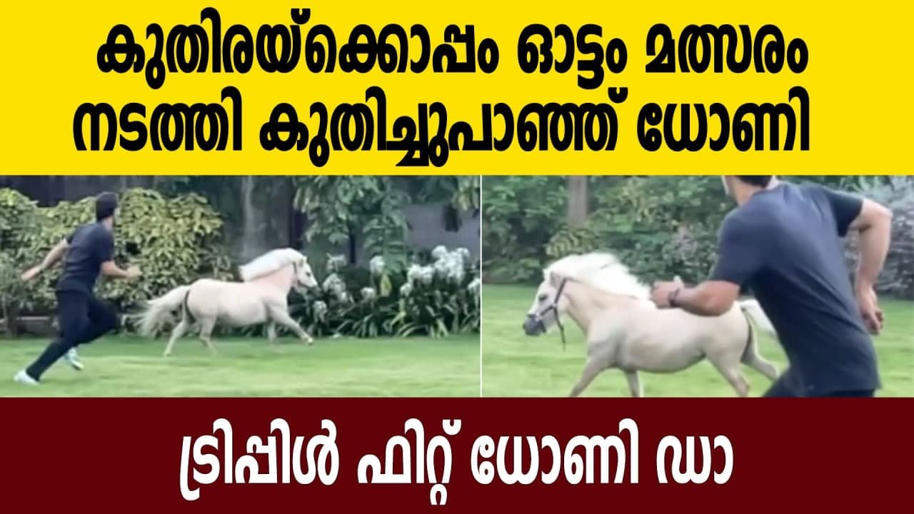 MS Dhoni races with pet pony at Ranchi farmhouse, video delights fans