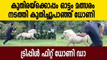 MS Dhoni races with pet pony at Ranchi farmhouse, video delights fans