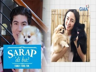 Sarap, 'Di Ba?: Meet the fur babies of Kitkat and the Legaspi family! | Bahay Edition